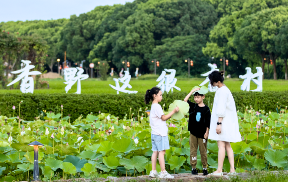 消夏指南丨26℃的香村「清涼貼」 